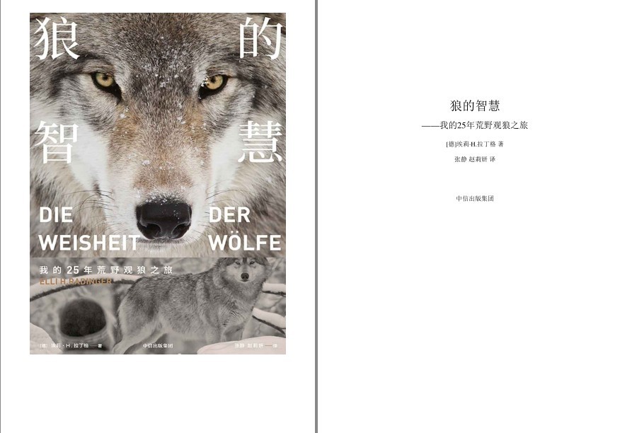 《狼的智慧》狼的生存哲学[pdf.epub]