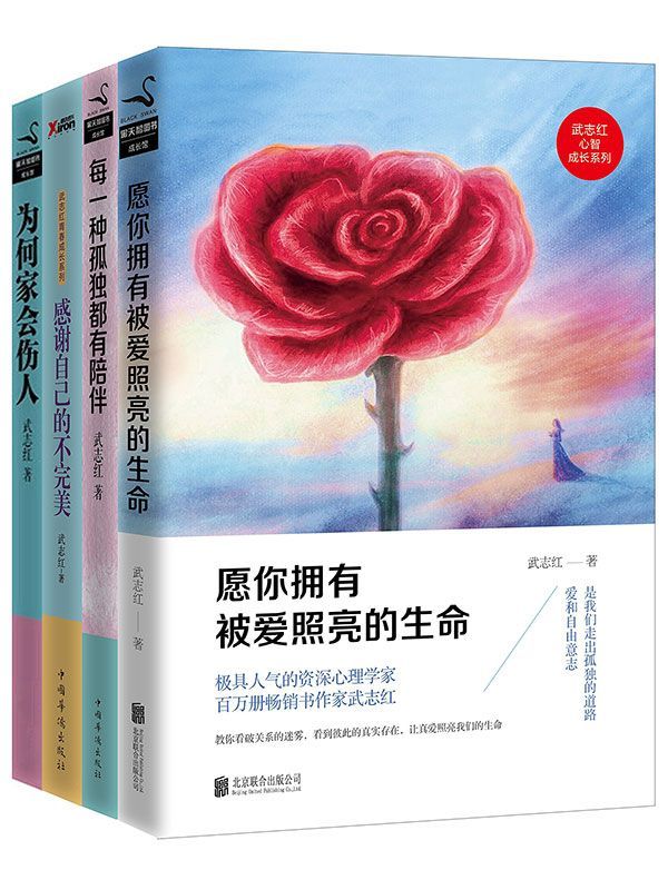 《武志红经典作品合集》（套装共4册）[Pdf.Epub.Mobi.Azw3]