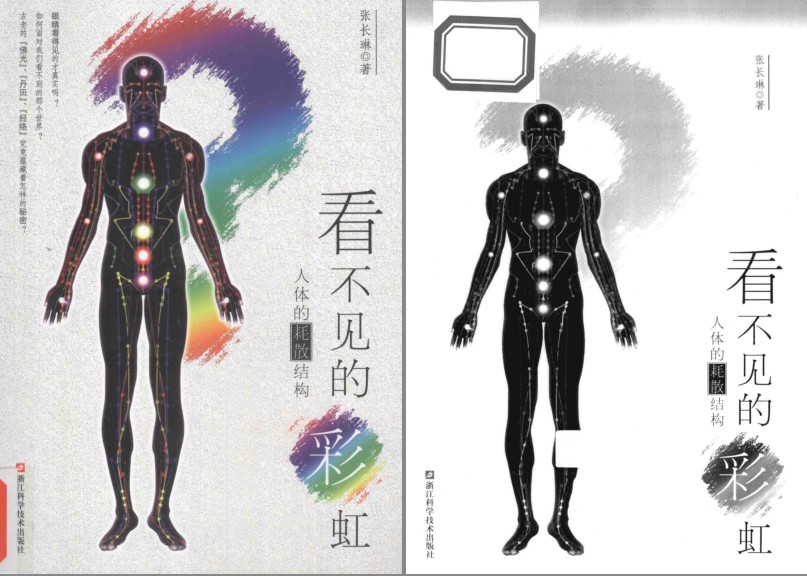 《看不见的彩虹人体的耗散结构》科普读物 人体世界[pdf]