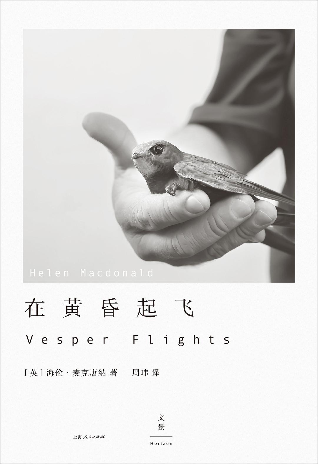 《在黄昏起飞》[Pdf.Epub.Mobi.Azw3]