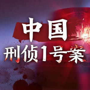 《中国刑侦1号案》有声小说 再现白宝山事件 全34集[mp3]