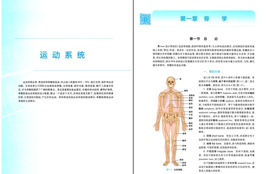 《局部解剖学》《系统解剖学》高清彩版 人体的组成和人体各器官结构知识[pdf]