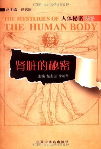 《肾脏的秘密》人体秘密丛书[epub]