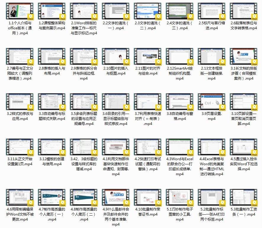 《Word高效办公：从小白到精通》视频版 零基础入门到精通 提高效率[mp4]