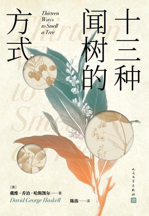 《十三种闻树的方式》[Pdf-Epub-Mobi-Txt-Azw3]