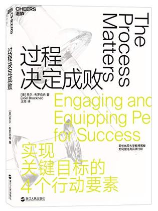 《过程决定成败》高品质过程工具箱[pdf]