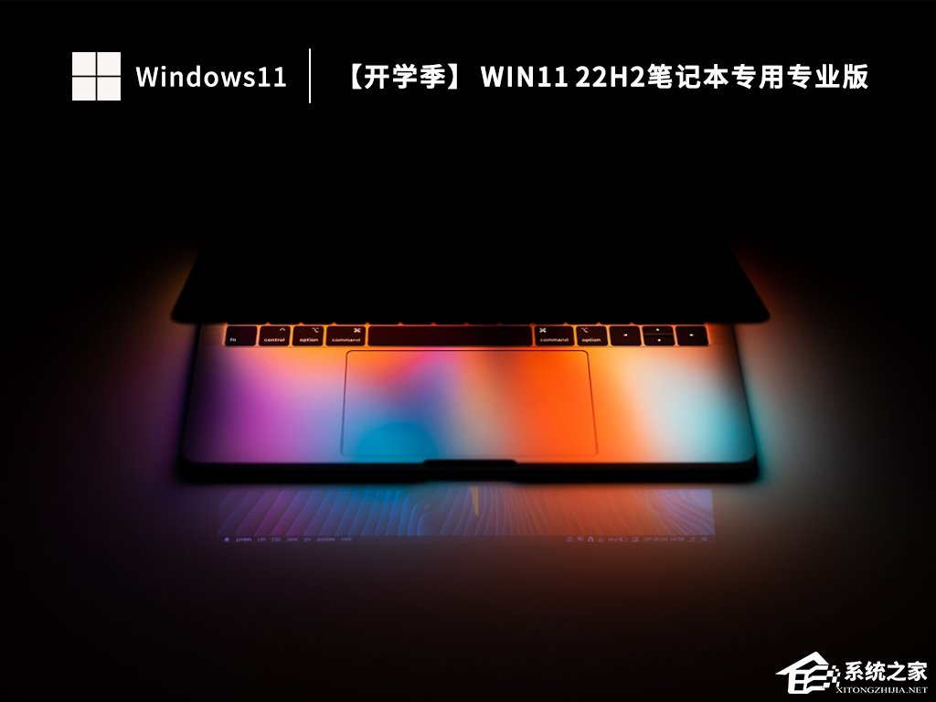 2023笔记本电脑系统Win11 22H2专业激活