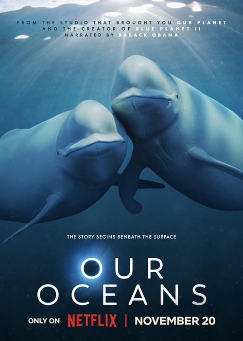 [BT下载][我们的海洋 Our Oceans 第一季][全05集][英语中字][MKV][720P/1080P][NETFLIX]