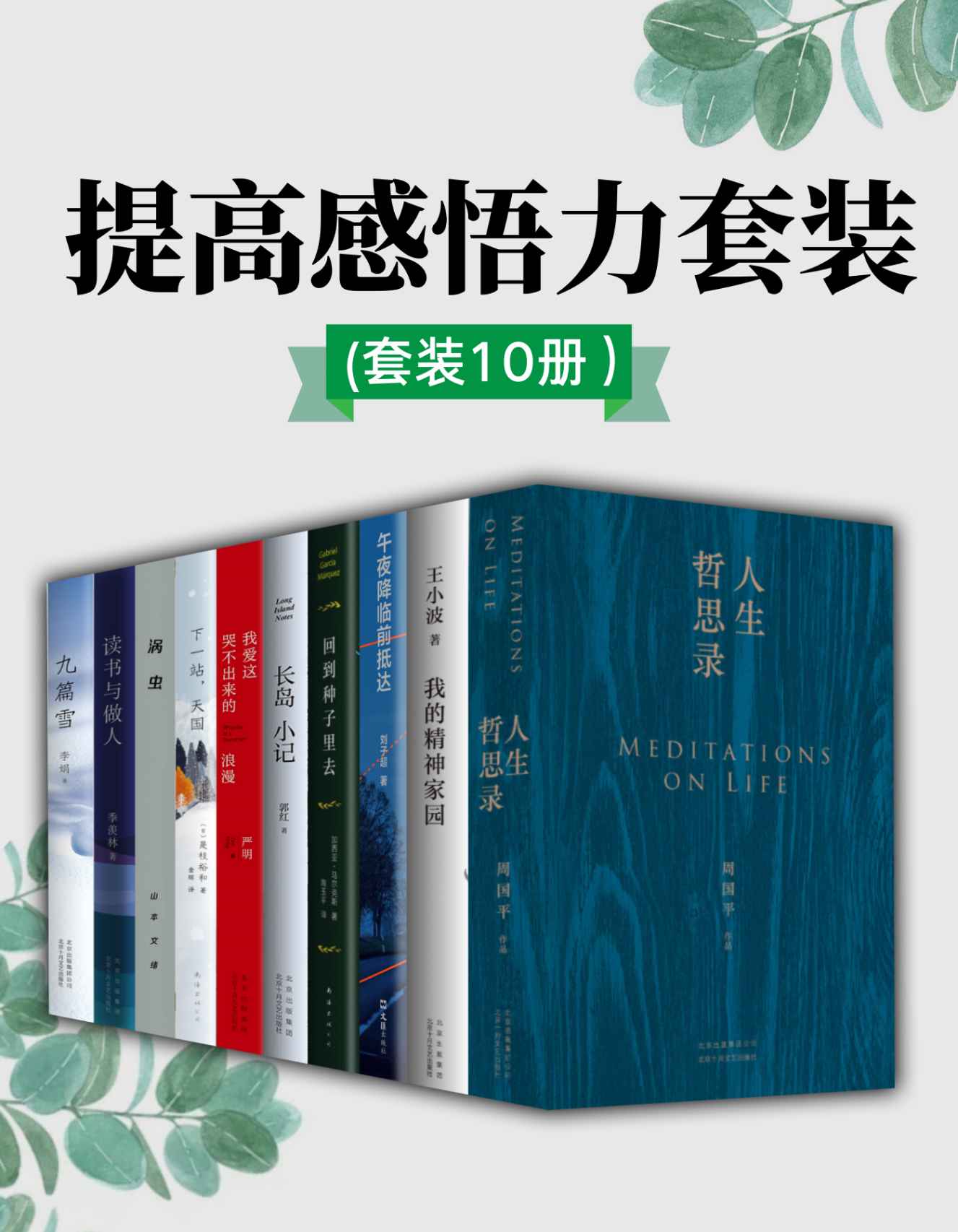 《提高感悟力套装》套装10册  停下来思考 为感悟生活抛砖引玉[pdf]