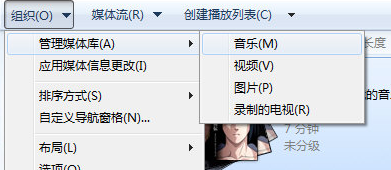 Windows Media Player截图