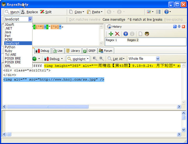 RegexBuddy截图