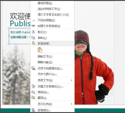 Publisher截图