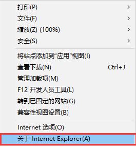 Internet Explorer 7截图