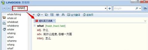灵格斯词霸(Lingoes)截图