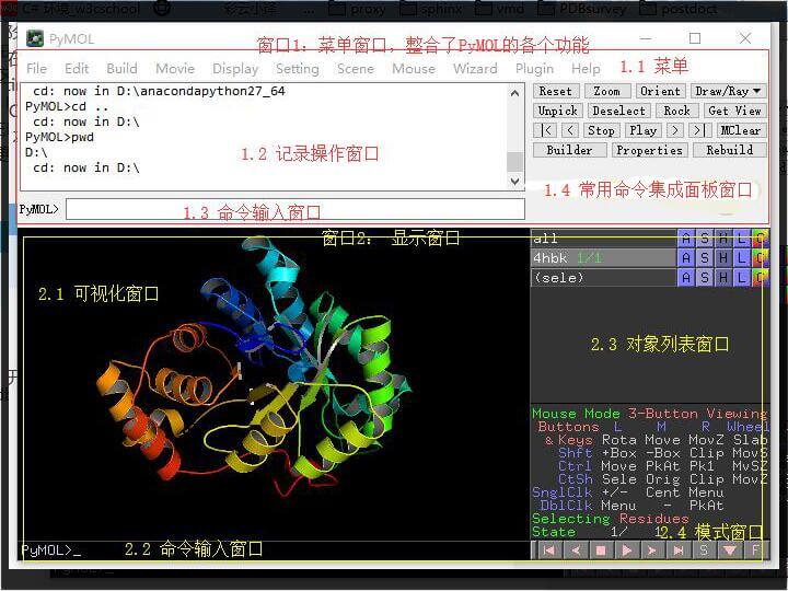 PyMol截图