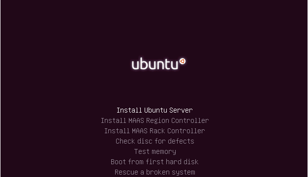 Ubuntu Server 64bit截图