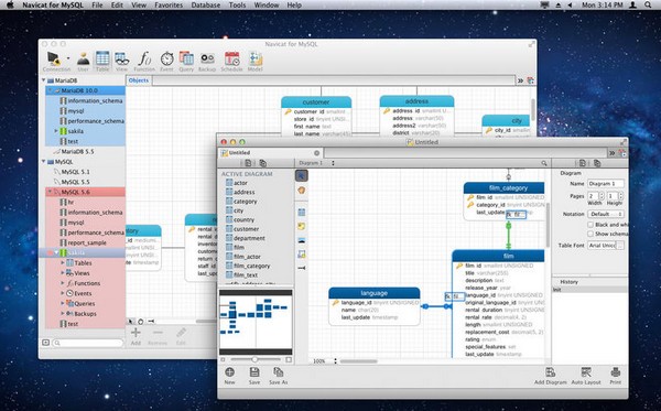 Navicat for MySQL For Mac截图