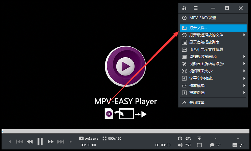 MPV-EASY Player截图