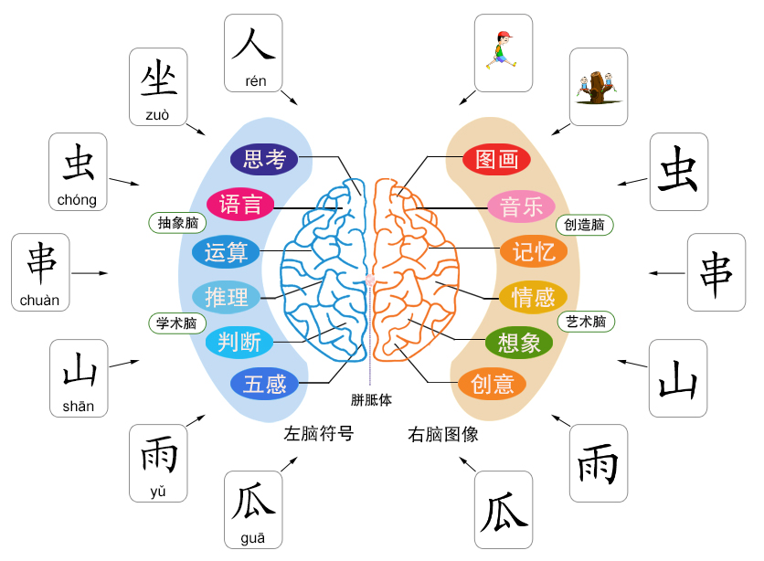 麦田拾字-幼儿识字截图