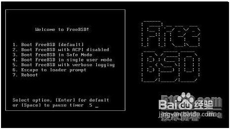 FreeBSD (x64)截图