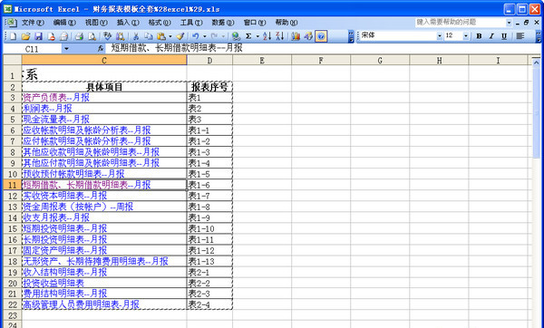 财务报表模板截图