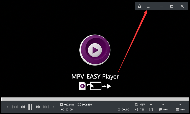 MPV-EASY Player截图