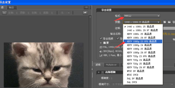 Adobe Premiere Pro CS4截图