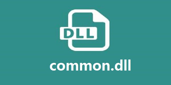 common.dll截图