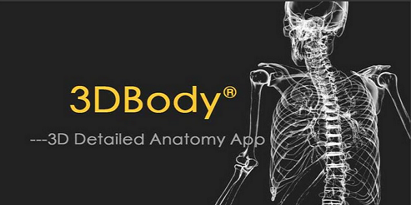 3DBody解剖截图