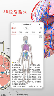 3DBody解剖截图