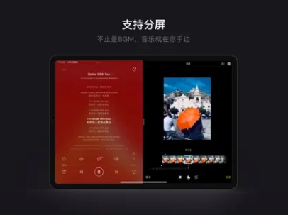 网易云音乐iPad版截图