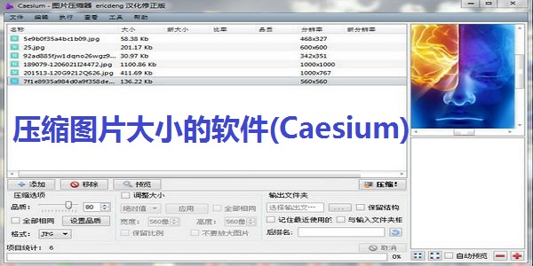 压缩图片大小的软件(Caesium)截图