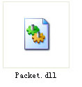 packet.dll截图