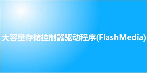 大容量存储控制器驱动程序(FlashMedia)截图