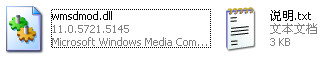 wmsdmod.dll截图