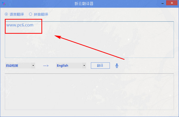 新云翻译器截图