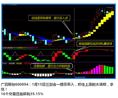 黄蓝带截图