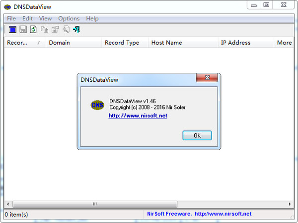 DNS解析记录查询工具(DNSDataView)截图