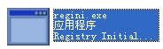 regini.exe截图