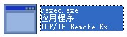 rexec.exe截图