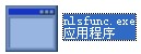 nlsfunc.exe截图