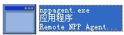 nppagent.exe截图