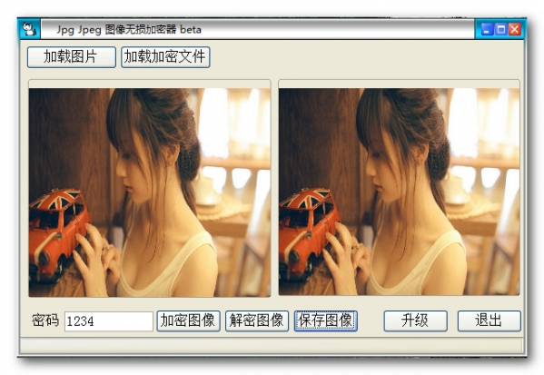 Jpg Jpeg 图像无损加密器截图