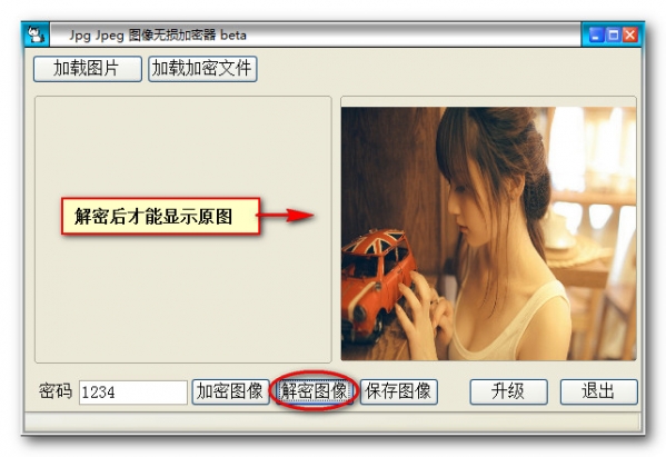 Jpg Jpeg 图像无损加密器截图