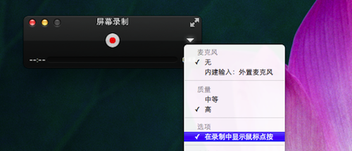 AppleQuickTime截图