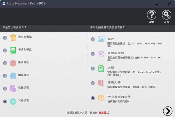 刺梨照片恢复软件Data Recovery Pro(BC)截图