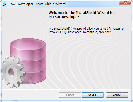 PLSQL Developer截图