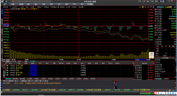 华安证券大智慧经典版截图
