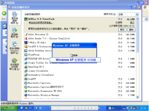 iis 6.0 完整安装包截图