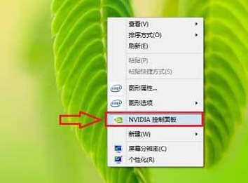 NVIDIA控制面板截图